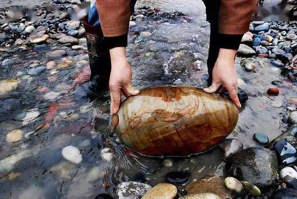 有人沙滩捡12块石头价值近百万有人却没有这么幸运
