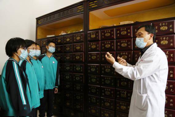 中药房|体验中医文化 迎接“世界传统医药日”