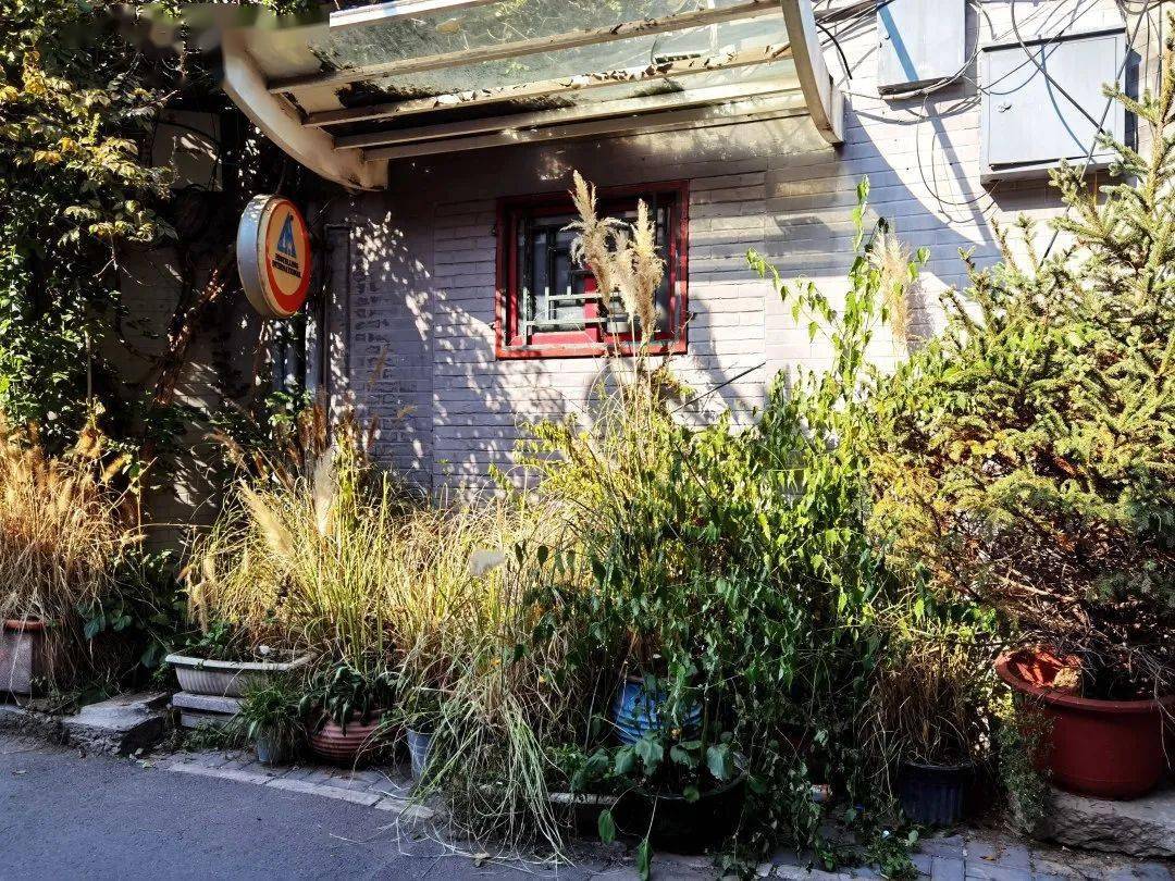 北京最美街巷雨儿胡同