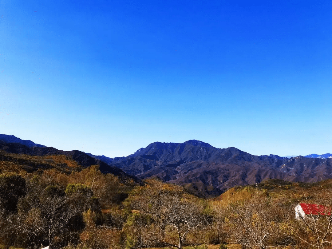 时光静好这璀璨的山岚将一年最好的颜色赐予伴山而生,天地有大美而不