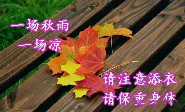 2021早上好表情问候祝福图片天冷了注意添衣保暖问候祝福语图片精选