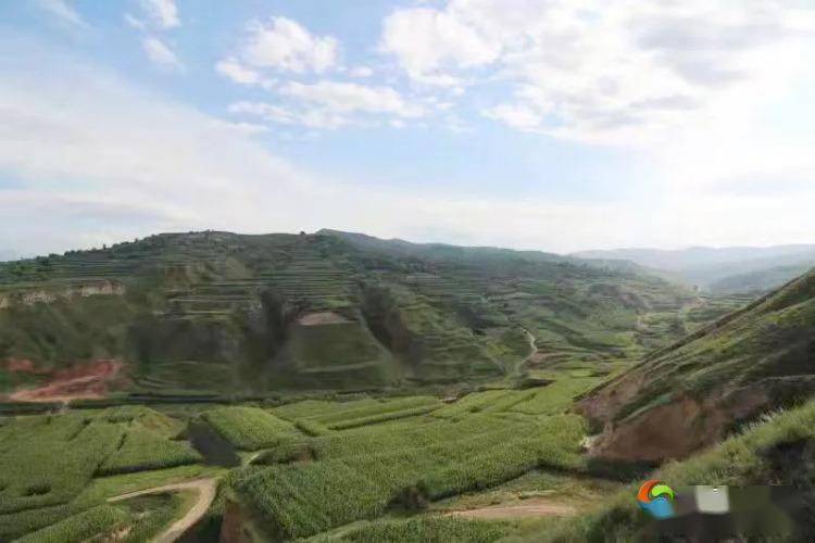 甘肃秦安大地湾遗址,临洮马家窑遗址,张家川马家塬遗址,敦煌莫高