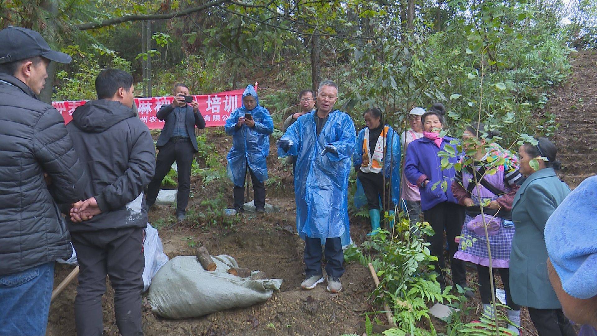 雷山县望丰乡开展2021年天麻种植技能培训