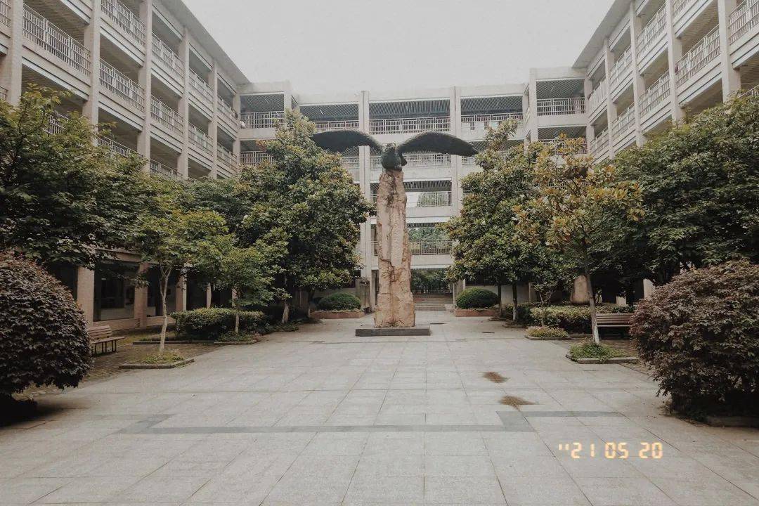 我为新生代言 | 安徽省马鞍山市第二中学王萌:九万里风鹏正举,一路图