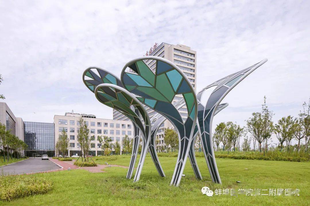 【赞!】蚌埠这家医院获评"中国最美医院"