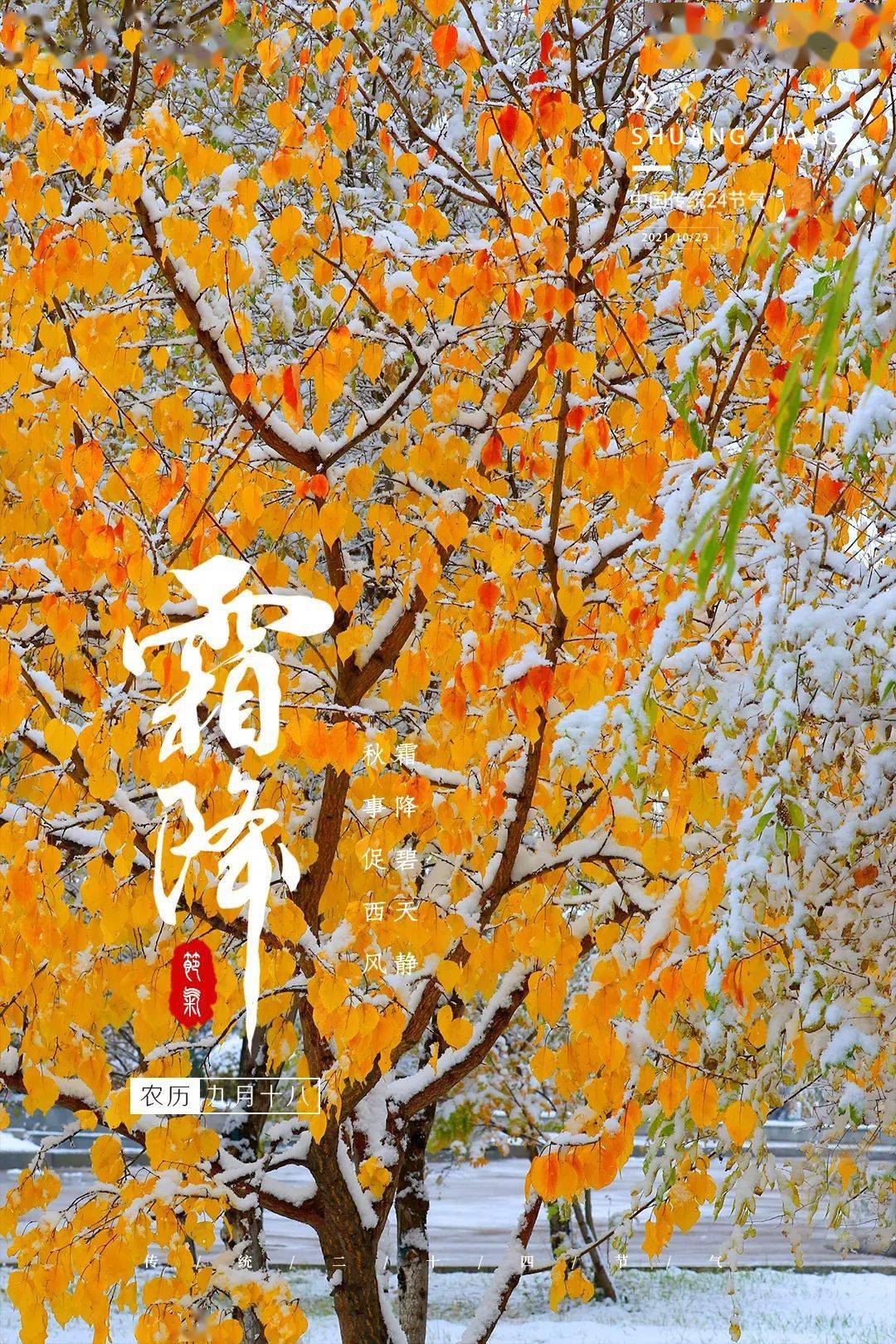 【融媒在线】霜降:寒霜冬将至 美好正当时_节气