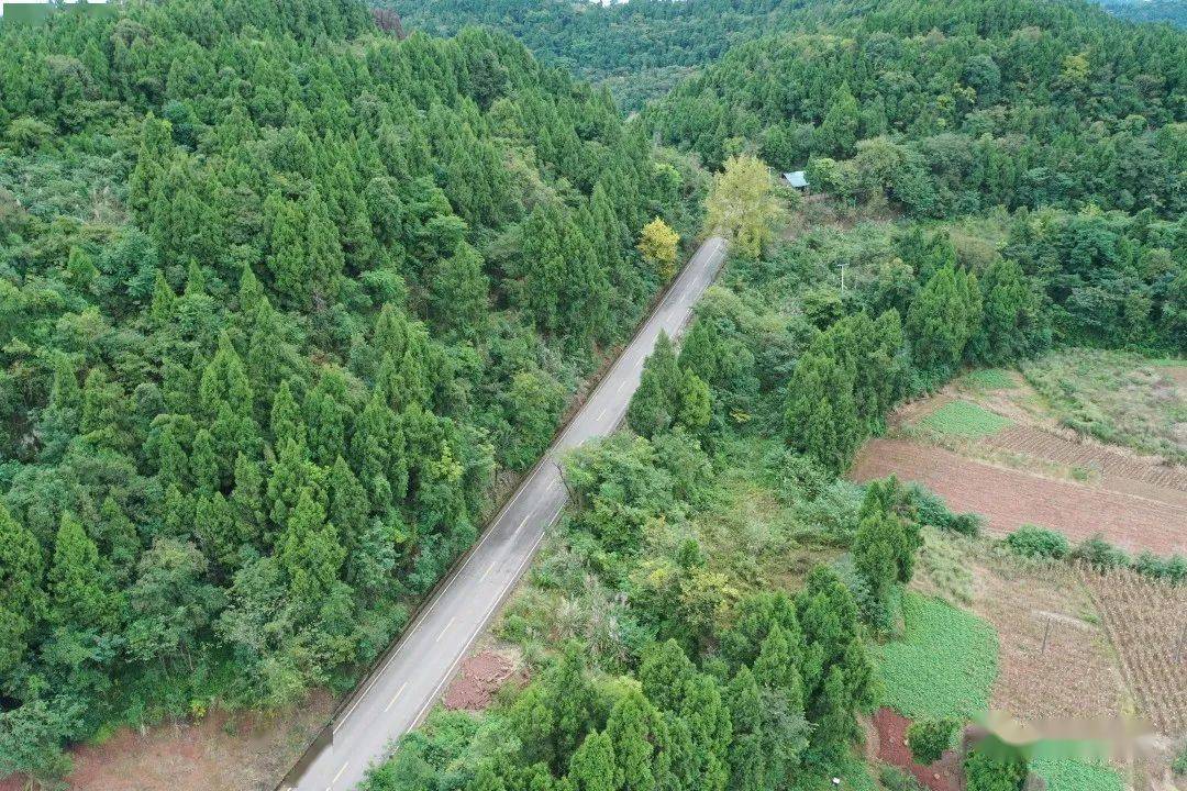 镇致力于提高农村公路的通达水平和路面条件,基本建成以遂乐路为骨架