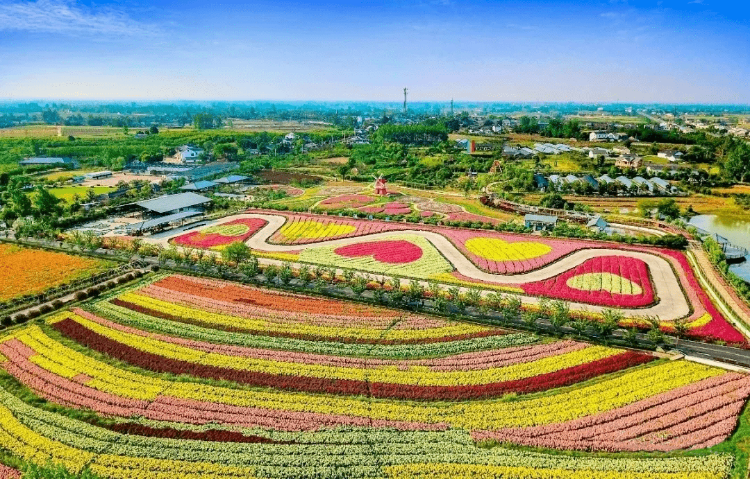 枝江市政协这场活动，与“农文旅”有关！