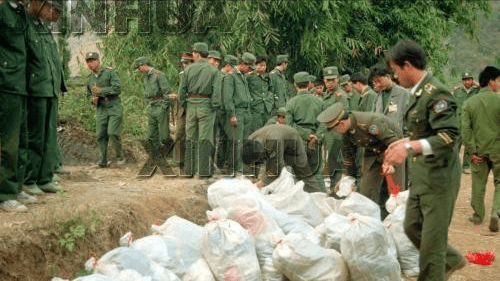 1982桂林空难的照片图片