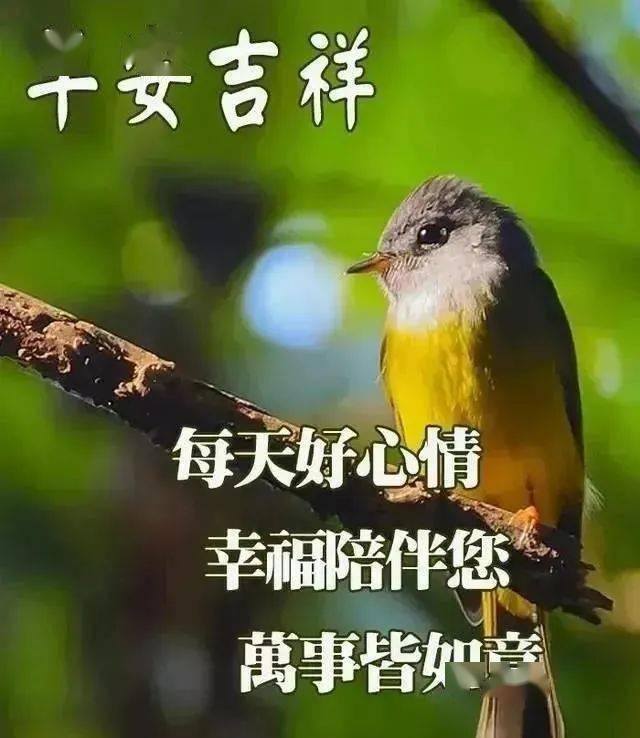 2021早上好表情包大全,不用打字聊天的秋天早上好问候祝福图片精选