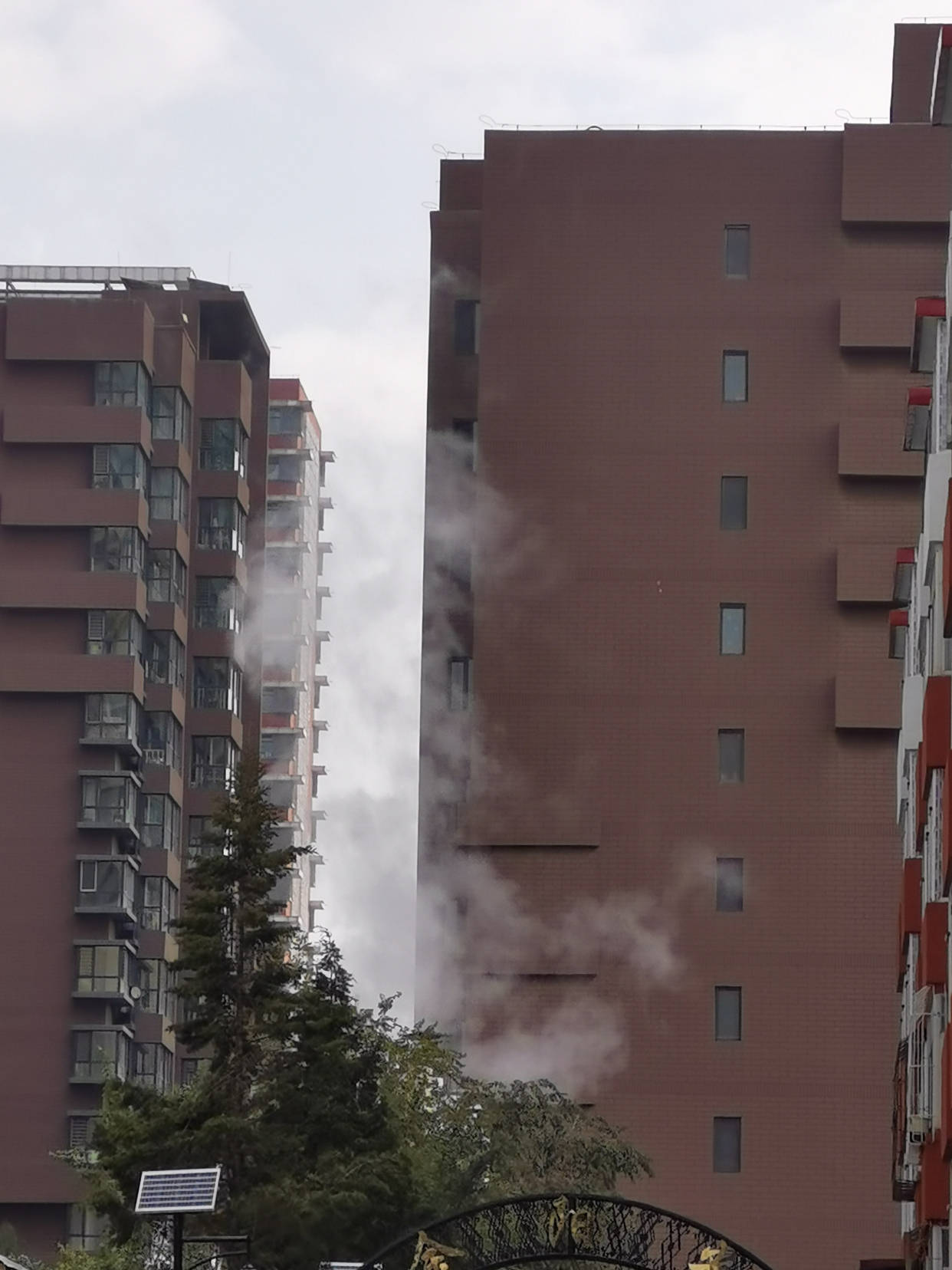 太阳|疫情生活：分明是过街的雨水