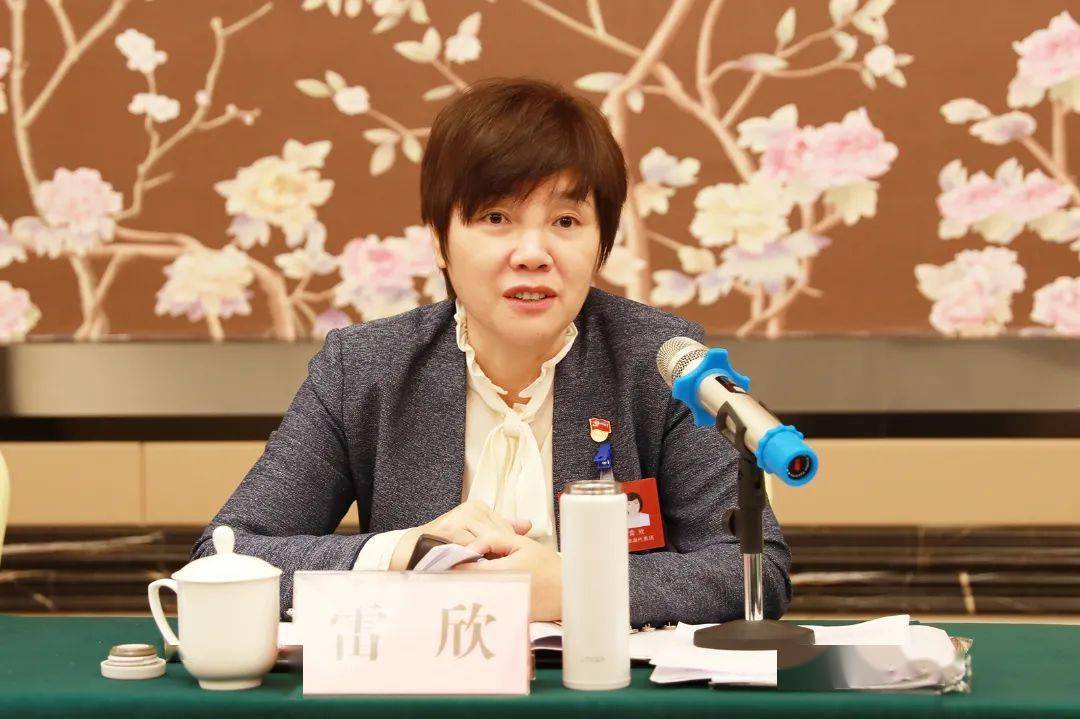 聚焦两会雷欣到钱粮湖良心堡和许市代表团参加分团讨论