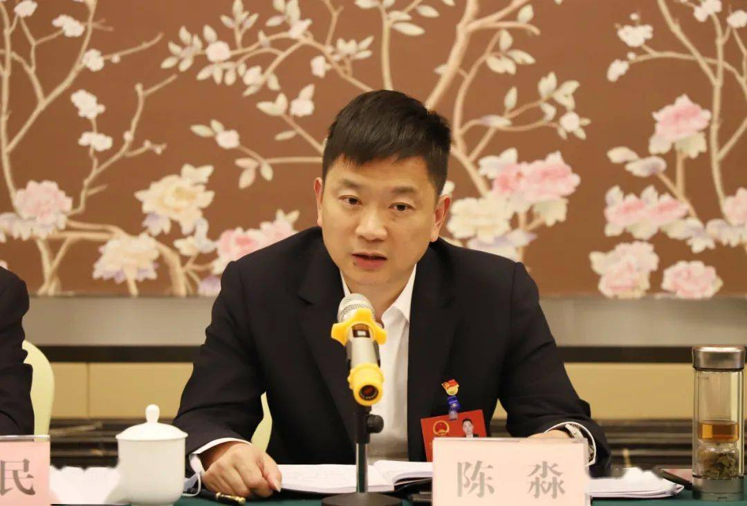 聚焦两会陈淼参加柳林洲钱粮湖广兴洲代表团分团讨论