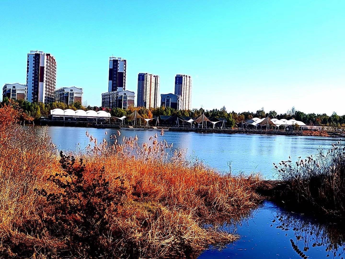 散文走在呼兰河大桥上