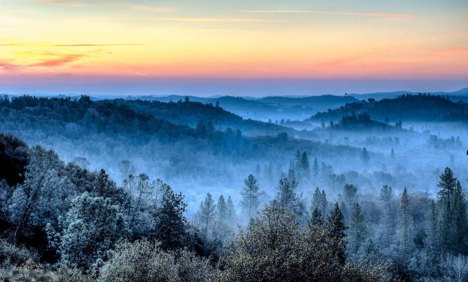 雾非雾,景非景,奈何迷了津渡