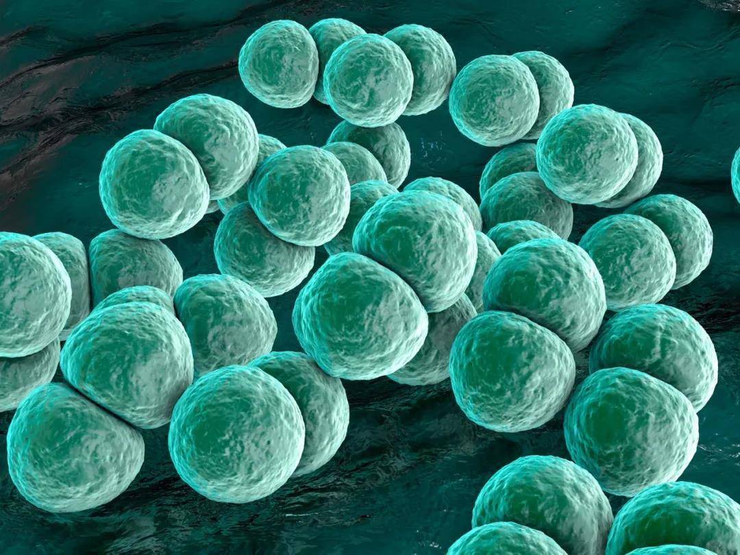 香港|联合国发出警告！最近吃鱼要小心，尤其这种鱼！