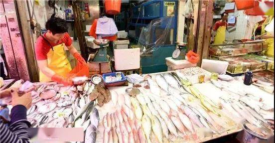 香港|联合国发出警告！最近吃鱼要小心，尤其这种鱼！