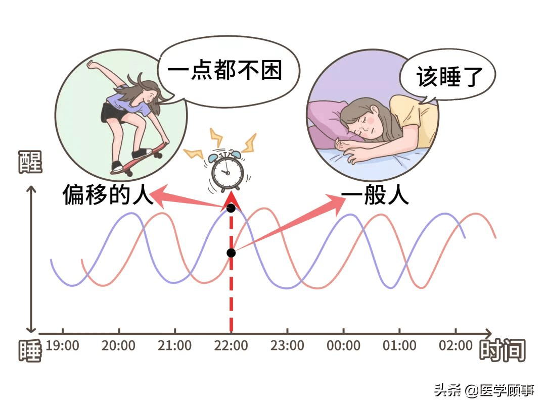 倒头就睡的人,到底是怎么做到的?