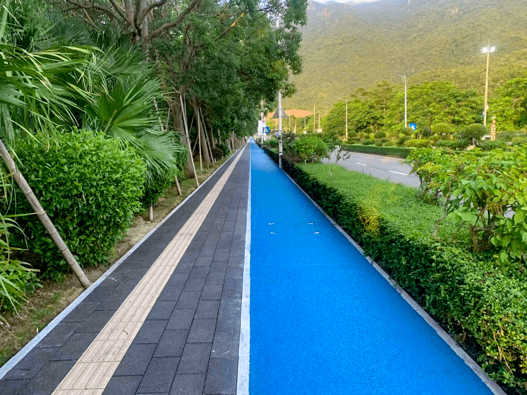 地质公园路人行道采用黑色陶瓷透水砖加乳白色盲道颜色搭配;#颜色搭配