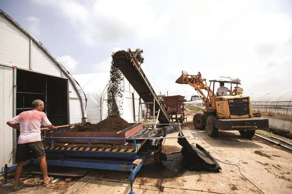 蘑菇种植自动化设备
