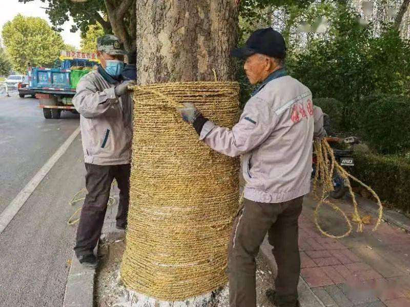 鱼台草绳——传统工艺的魅力
