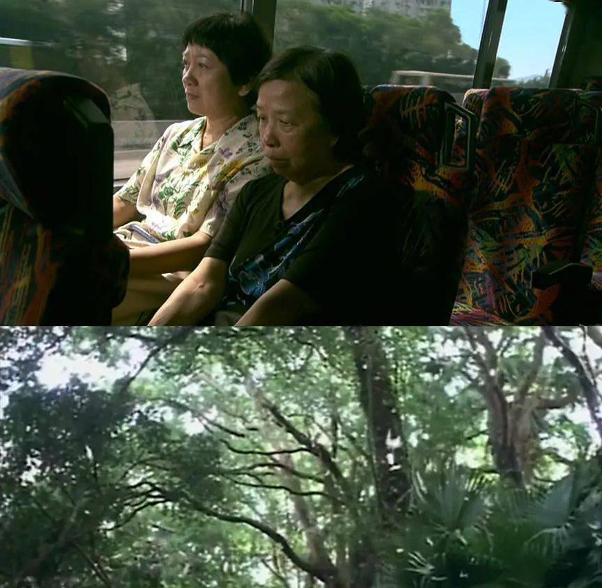 张爱玲|三改张爱玲，许鞍华终究败给了自己