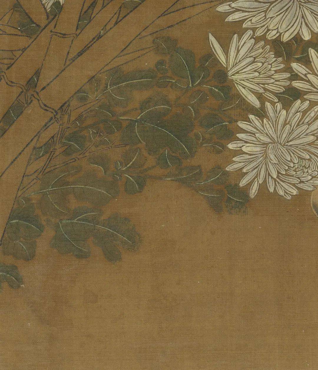 赏画|王渊《写生花卉册》之菊花