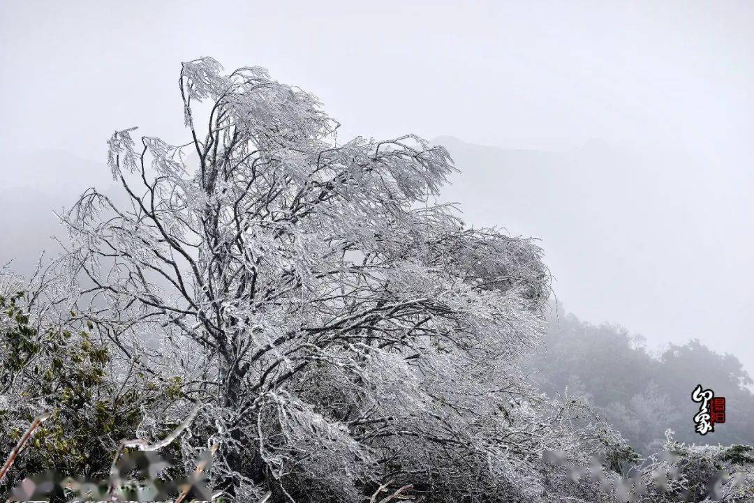 揭阳第一峰李望嶂