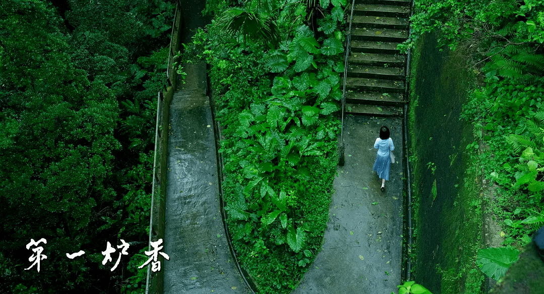 马思纯|看完直呼退钱！这片子真这么烂？