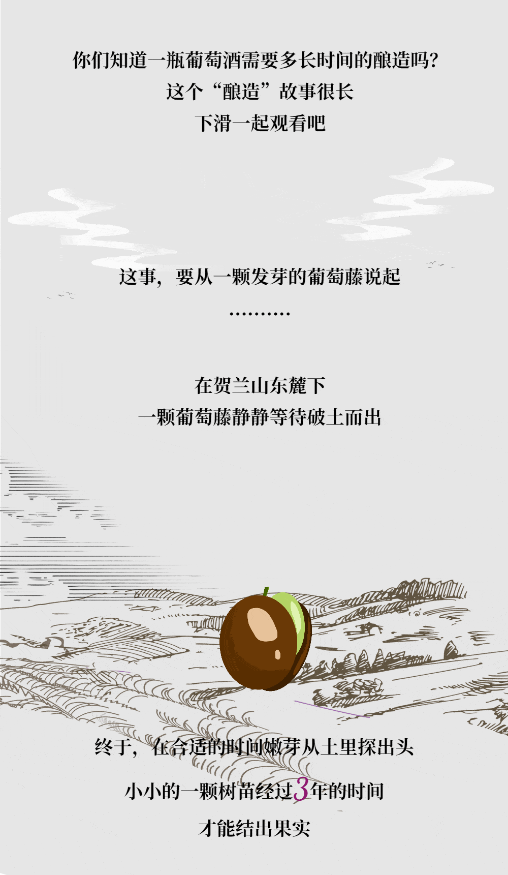 com|一瓶葡萄酒的酿造需要多久?