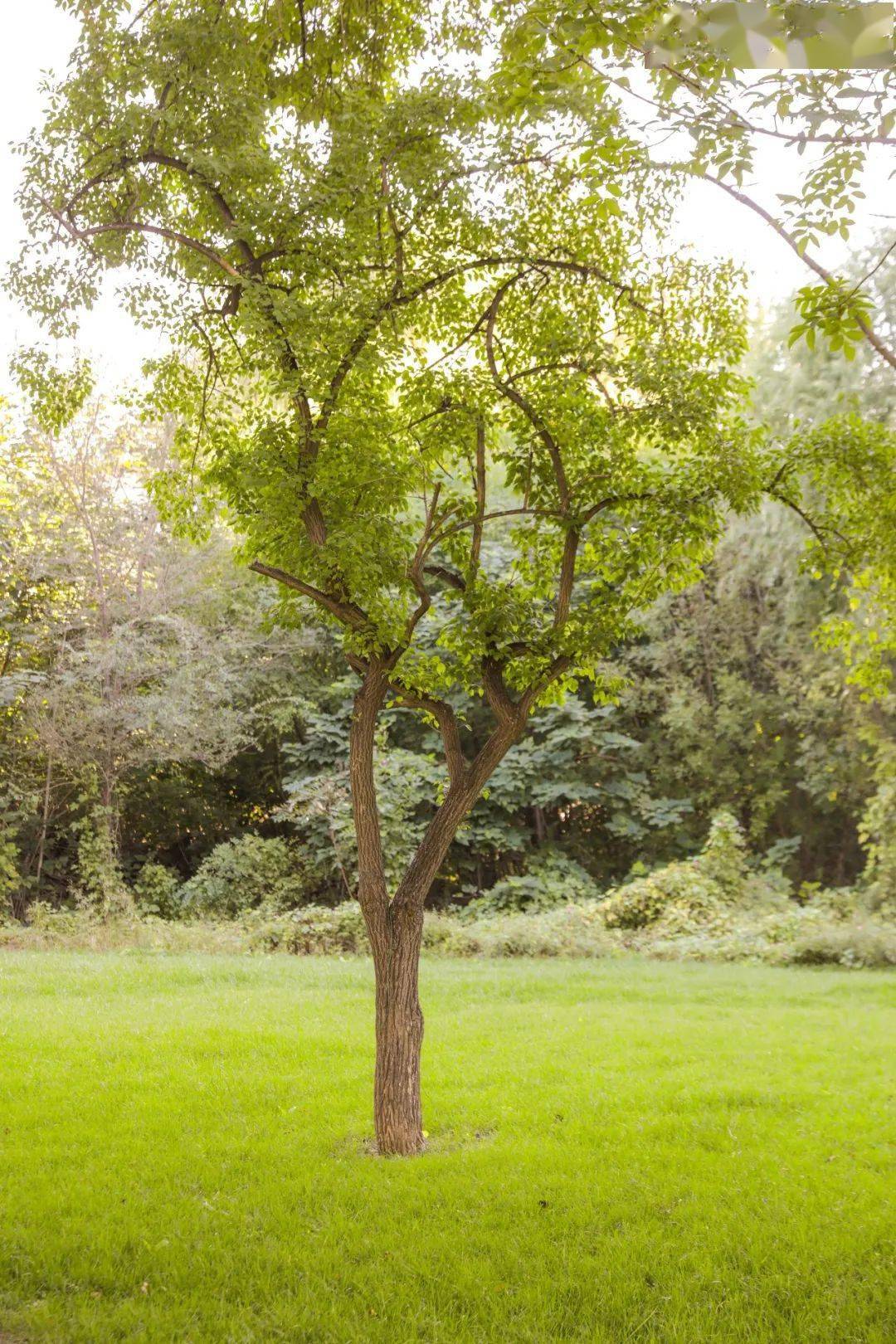 超级美南开初秋美图走一波