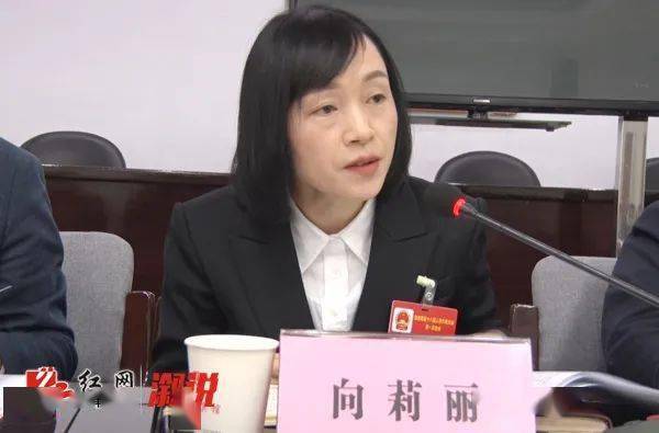 【"两会"特别报道】人大代表,政协委员分组讨论政府工作报告_溆浦