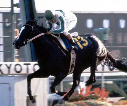 白马|世界最强，马中妲己！日本一本白马写真力压明星夺得销售榜第三名？看完后我理解了…