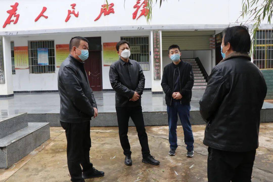 市委常委副市长王保岚到苏合镇调研督导疫情防控工作