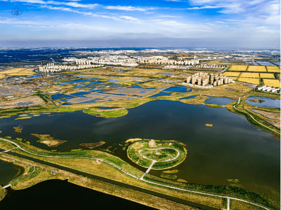 津云新闻讯:正值深秋,位于天津津南区八里台镇的绿屏·八里湾地区却仍