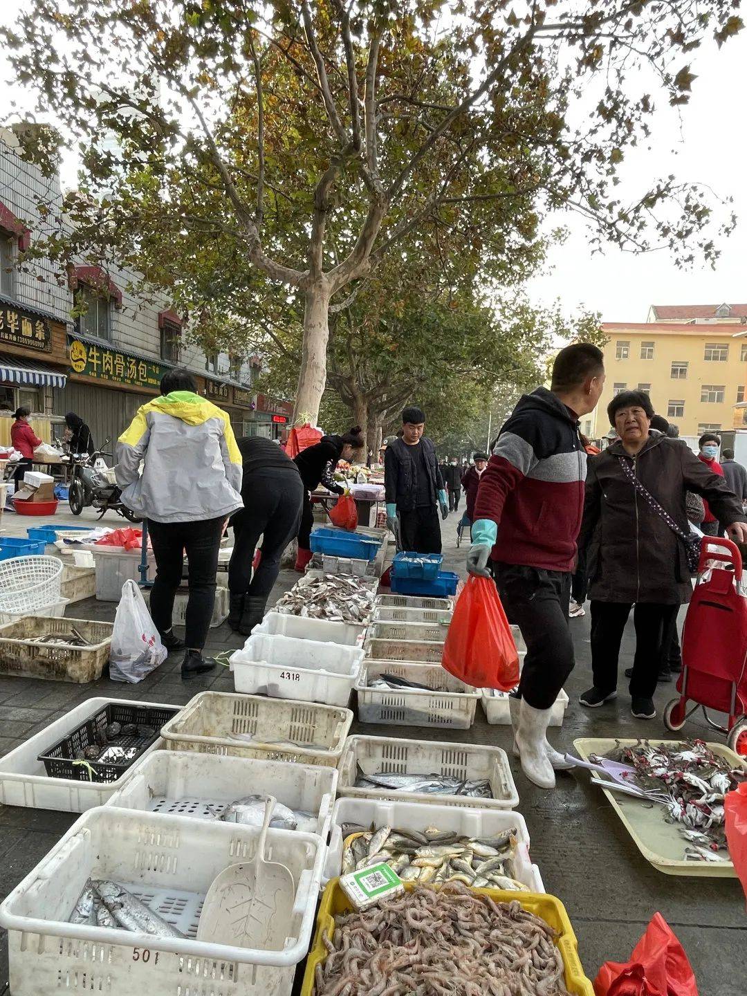 威海「塔山早市」藏着半城烟火气_城市