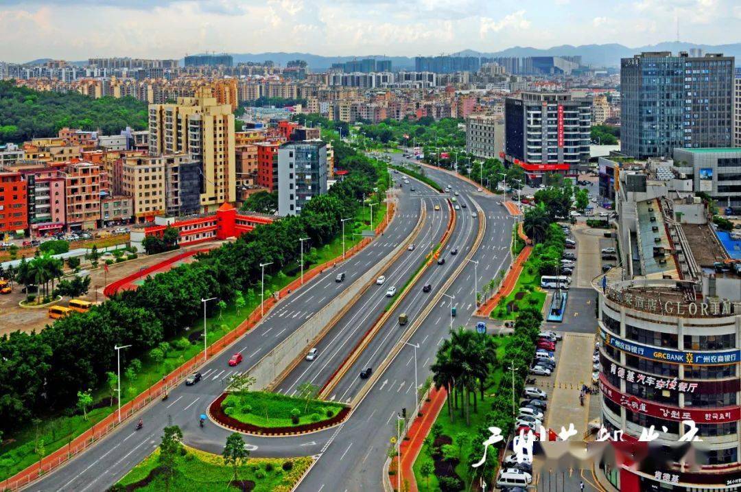 五年来花都全域花开