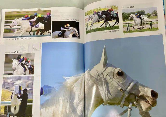 白马|世界最强，马中妲己！日本一本白马写真力压明星夺得销售榜第三名？看完后我理解了…