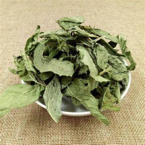 中药小课堂67薄荷