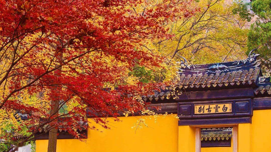 "唯有别时今不忘,暮烟秋雨过枫桥.""姑苏城外寒山寺,夜半钟声到客船.