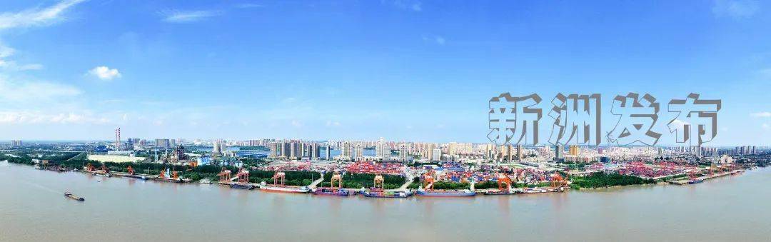 我们这五年阳逻街革故鼎新立潮头日新月异竞一流