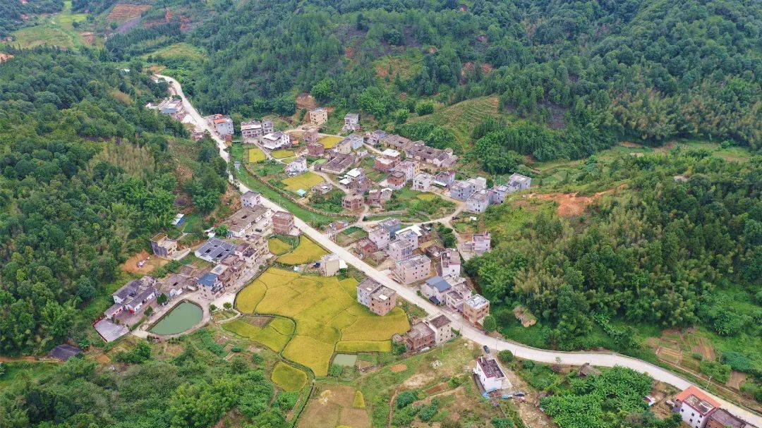 绿水青山间的红色祠堂河源这个村打造红色文旅民宿村