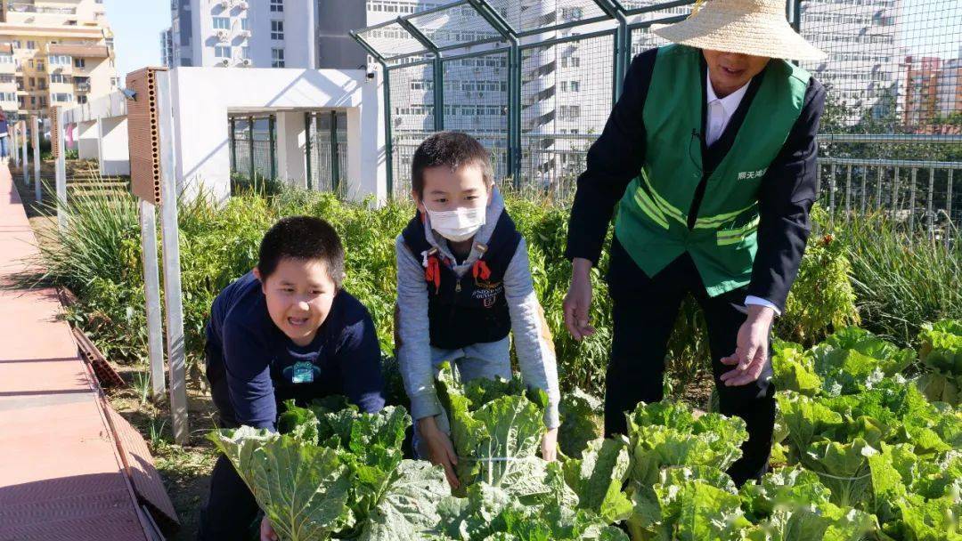 勞動創造美好生活校園豐收季剪影