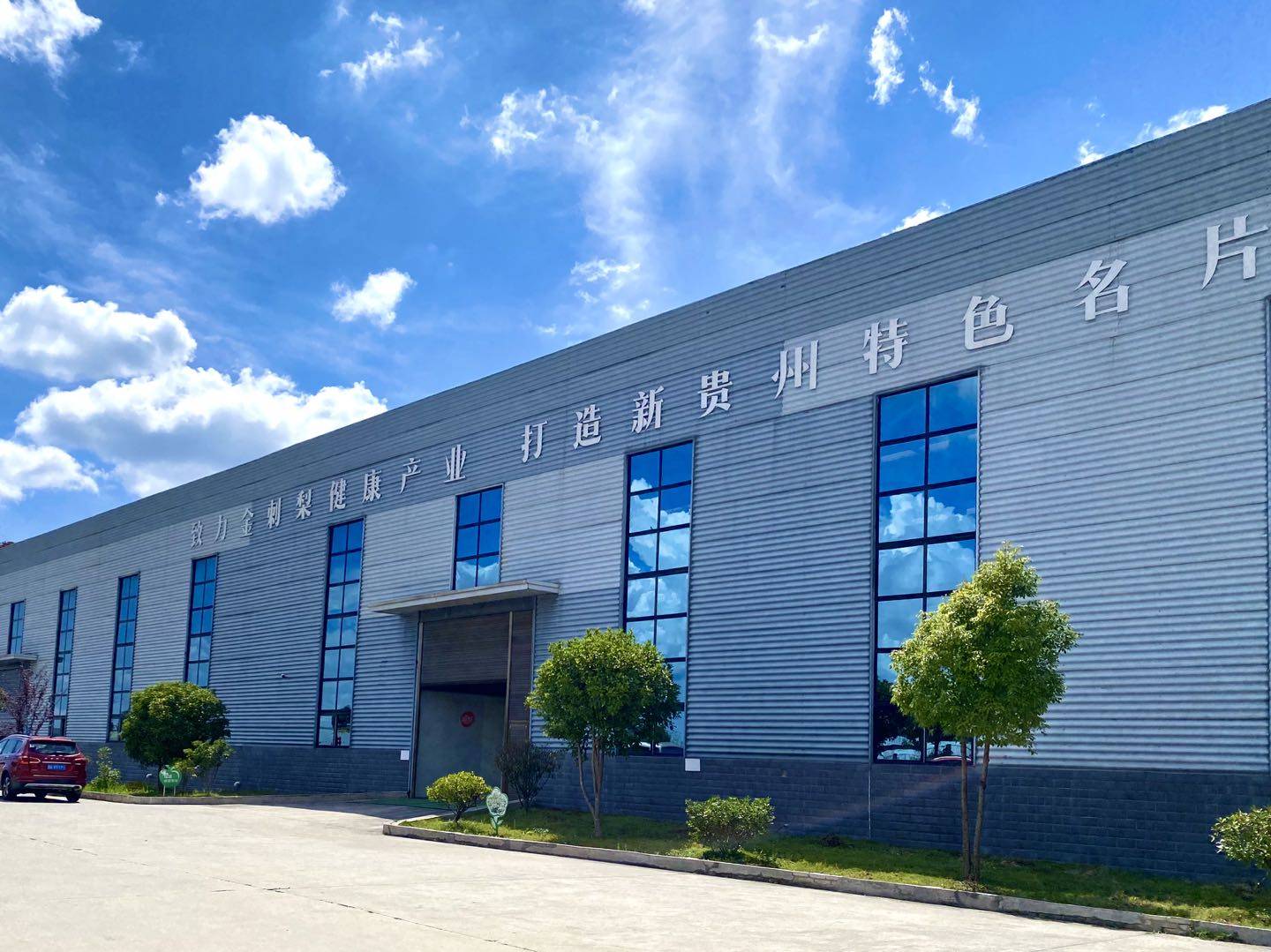 安顺金刺梨:满山结遍“黄金果” 晚秋风里唱丰收_大坝村