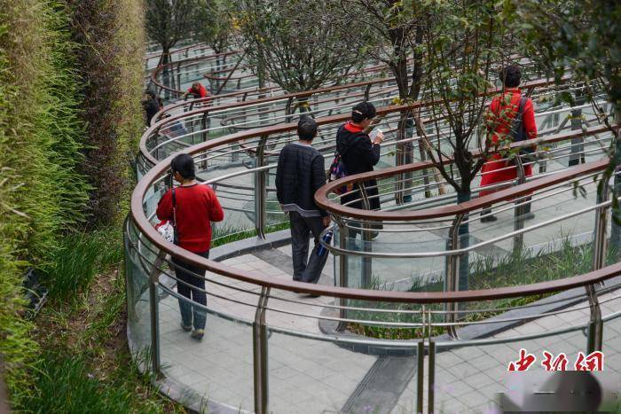 水门|重庆一大桥景观步道蜿蜒盘旋酷似“贪食蛇”