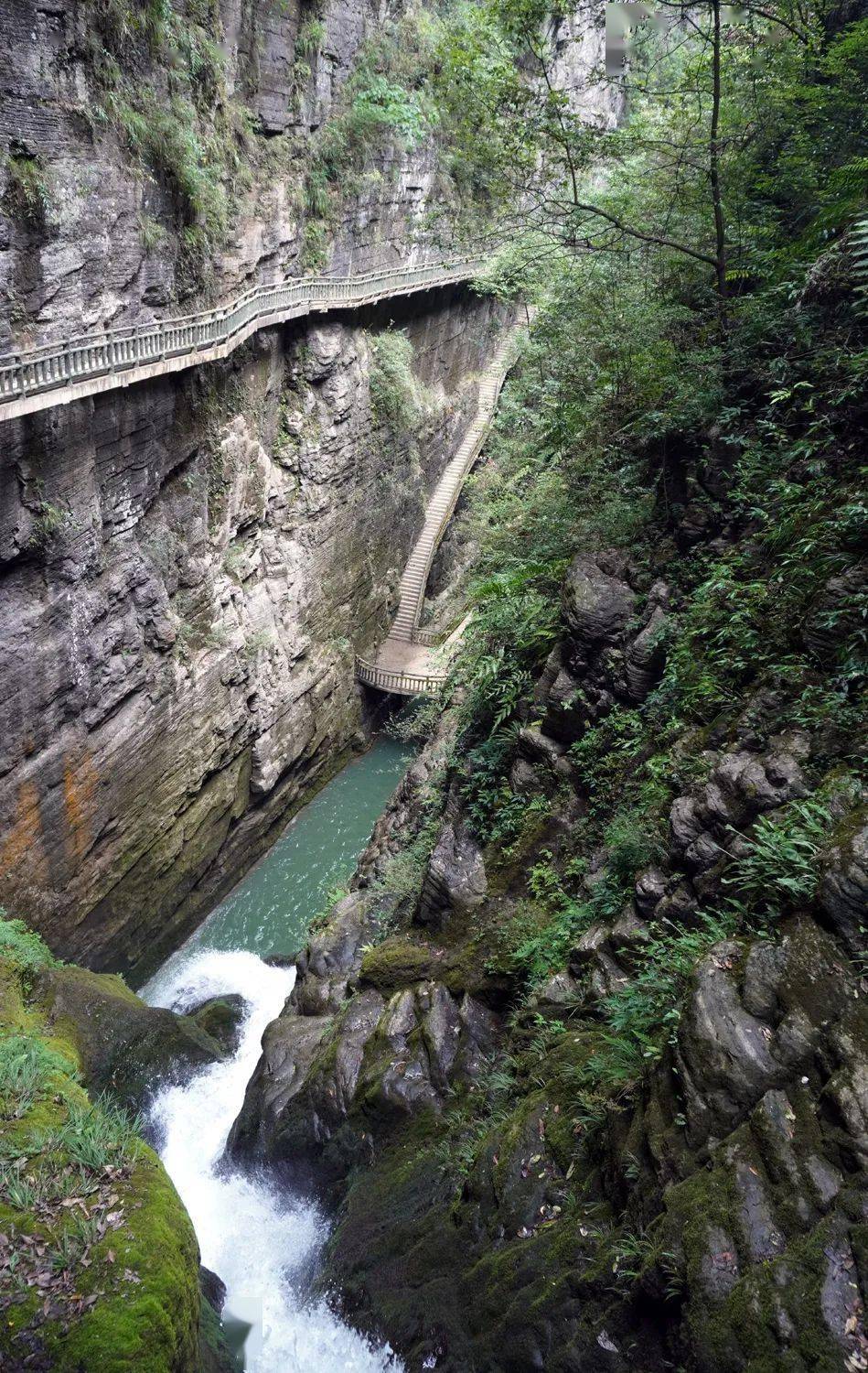 小众自驾森林中的民宿营盘古苗寨南方长城天龙大峡谷轻奢度假