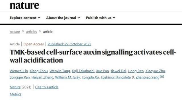 福建农林大学林文伟等在Nature发文揭示生长素“酸性假说”重要机制