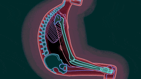 感觉|久坐党选它！保护腰椎，用实力为你“撑腰”，上班、开车都能用~