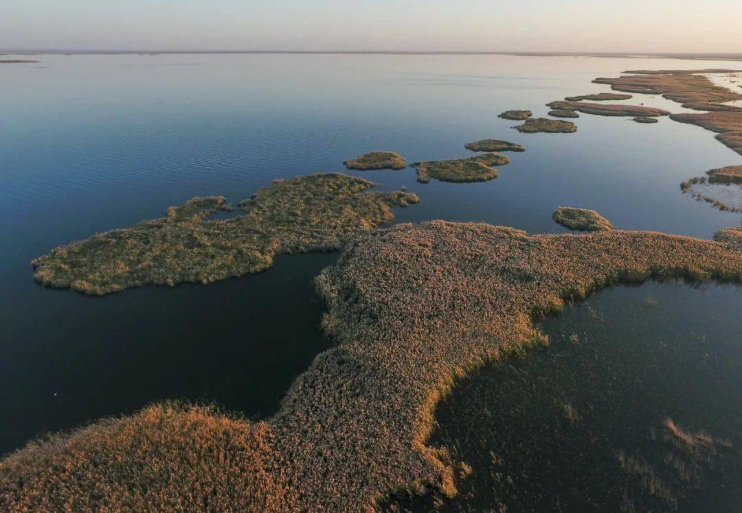 匈奴|什么是额济纳 ｜草地·新闻地理