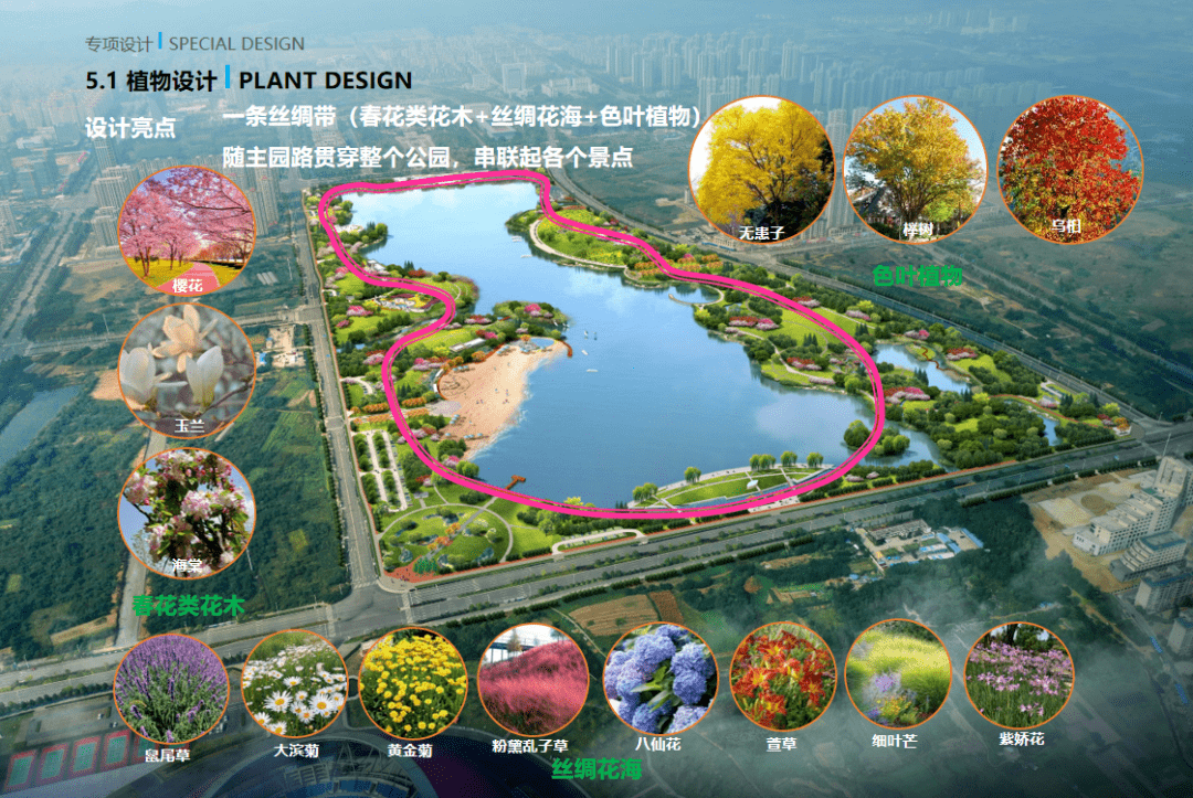 淮南龙湖公园规划图图片